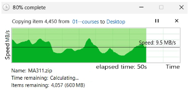 Screenshot from a computer utility showing a variable rate of data transfer